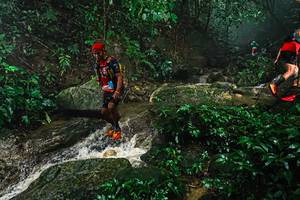 BIB: 
                            <button type="button" onclick="openModal(25144825)" class="btn btn-primary btn-sm float-right btn-popup" data-toggle="modal" data-target=".modal-high-quality">
                        <i class="fas fa-shopping-cart"></i> Add to Cart
                    </button>
                                            <button type="button" onclick="isThisMe(25144825, true)" class="btn btn-success btn-sm float-right btn-popup btn-isme hidden" data-toggle="tooltip" data-placement="bottom" title="นี่คือรูปของคุณใช่ไหม คลิกที่นี่เพื่อเอาเข้าอัลบั้ม">
                        <i class="fas fa-plus"></i> Add to album
                    </button>
                    <button type="button" onclick="isThisMe(25144825, false)" class="btn btn-warning btn-sm float-right btn-popup btn-isnotme hidden">
                        <i class="fas fa-ban"></i> Remove from album
                    </button>