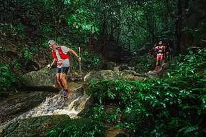 BIB: 
                            <button type="button" onclick="openModal(25140535)" class="btn btn-primary btn-sm float-right btn-popup" data-toggle="modal" data-target=".modal-high-quality">
                        <i class="fas fa-shopping-cart"></i> Add to Cart
                    </button>
                                            <button type="button" onclick="isThisMe(25140535, true)" class="btn btn-success btn-sm float-right btn-popup btn-isme hidden" data-toggle="tooltip" data-placement="bottom" title="นี่คือรูปของคุณใช่ไหม คลิกที่นี่เพื่อเอาเข้าอัลบั้ม">
                        <i class="fas fa-plus"></i> Add to album
                    </button>
                    <button type="button" onclick="isThisMe(25140535, false)" class="btn btn-warning btn-sm float-right btn-popup btn-isnotme hidden">
                        <i class="fas fa-ban"></i> Remove from album
                    </button>