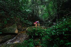 BIB: 
                            <button type="button" onclick="openModal(25136843)" class="btn btn-primary btn-sm float-right btn-popup" data-toggle="modal" data-target=".modal-high-quality">
                        <i class="fas fa-shopping-cart"></i> Add to Cart
                    </button>
                                            <button type="button" onclick="isThisMe(25136843, true)" class="btn btn-success btn-sm float-right btn-popup btn-isme hidden" data-toggle="tooltip" data-placement="bottom" title="นี่คือรูปของคุณใช่ไหม คลิกที่นี่เพื่อเอาเข้าอัลบั้ม">
                        <i class="fas fa-plus"></i> Add to album
                    </button>
                    <button type="button" onclick="isThisMe(25136843, false)" class="btn btn-warning btn-sm float-right btn-popup btn-isnotme hidden">
                        <i class="fas fa-ban"></i> Remove from album
                    </button>