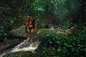 BIB: 
                            <button type="button" onclick="openModal(25144180)" class="btn btn-primary btn-sm float-right btn-popup" data-toggle="modal" data-target=".modal-high-quality">
                        <i class="fas fa-shopping-cart"></i> Add to Cart
                    </button>
                                            <button type="button" onclick="isThisMe(25144180, true)" class="btn btn-success btn-sm float-right btn-popup btn-isme hidden" data-toggle="tooltip" data-placement="bottom" title="นี่คือรูปของคุณใช่ไหม คลิกที่นี่เพื่อเอาเข้าอัลบั้ม">
                        <i class="fas fa-plus"></i> Add to album
                    </button>
                    <button type="button" onclick="isThisMe(25144180, false)" class="btn btn-warning btn-sm float-right btn-popup btn-isnotme hidden">
                        <i class="fas fa-ban"></i> Remove from album
                    </button>