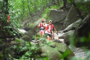 BIB: 
                            <button type="button" onclick="openModal(25211335)" class="btn btn-primary btn-sm float-right btn-popup" data-toggle="modal" data-target=".modal-high-quality">
                        <i class="fas fa-shopping-cart"></i> Add to Cart
                    </button>
                                            <button type="button" onclick="isThisMe(25211335, true)" class="btn btn-success btn-sm float-right btn-popup btn-isme hidden" data-toggle="tooltip" data-placement="bottom" title="นี่คือรูปของคุณใช่ไหม คลิกที่นี่เพื่อเอาเข้าอัลบั้ม">
                        <i class="fas fa-plus"></i> Add to album
                    </button>
                    <button type="button" onclick="isThisMe(25211335, false)" class="btn btn-warning btn-sm float-right btn-popup btn-isnotme hidden">
                        <i class="fas fa-ban"></i> Remove from album
                    </button>