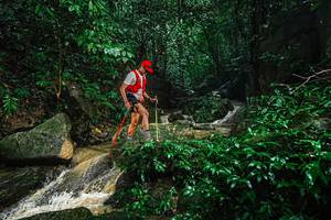 BIB: 
                            <button type="button" onclick="openModal(25142806)" class="btn btn-primary btn-sm float-right btn-popup" data-toggle="modal" data-target=".modal-high-quality">
                        <i class="fas fa-shopping-cart"></i> Add to Cart
                    </button>
                                            <button type="button" onclick="isThisMe(25142806, true)" class="btn btn-success btn-sm float-right btn-popup btn-isme hidden" data-toggle="tooltip" data-placement="bottom" title="นี่คือรูปของคุณใช่ไหม คลิกที่นี่เพื่อเอาเข้าอัลบั้ม">
                        <i class="fas fa-plus"></i> Add to album
                    </button>
                    <button type="button" onclick="isThisMe(25142806, false)" class="btn btn-warning btn-sm float-right btn-popup btn-isnotme hidden">
                        <i class="fas fa-ban"></i> Remove from album
                    </button>