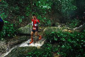 BIB: 
                            <button type="button" onclick="openModal(25143951)" class="btn btn-primary btn-sm float-right btn-popup" data-toggle="modal" data-target=".modal-high-quality">
                        <i class="fas fa-shopping-cart"></i> Add to Cart
                    </button>
                                            <button type="button" onclick="isThisMe(25143951, true)" class="btn btn-success btn-sm float-right btn-popup btn-isme hidden" data-toggle="tooltip" data-placement="bottom" title="นี่คือรูปของคุณใช่ไหม คลิกที่นี่เพื่อเอาเข้าอัลบั้ม">
                        <i class="fas fa-plus"></i> Add to album
                    </button>
                    <button type="button" onclick="isThisMe(25143951, false)" class="btn btn-warning btn-sm float-right btn-popup btn-isnotme hidden">
                        <i class="fas fa-ban"></i> Remove from album
                    </button>