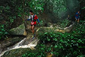 BIB: 
                            <button type="button" onclick="openModal(25144443)" class="btn btn-primary btn-sm float-right btn-popup" data-toggle="modal" data-target=".modal-high-quality">
                        <i class="fas fa-shopping-cart"></i> Add to Cart
                    </button>
                                            <button type="button" onclick="isThisMe(25144443, true)" class="btn btn-success btn-sm float-right btn-popup btn-isme hidden" data-toggle="tooltip" data-placement="bottom" title="นี่คือรูปของคุณใช่ไหม คลิกที่นี่เพื่อเอาเข้าอัลบั้ม">
                        <i class="fas fa-plus"></i> Add to album
                    </button>
                    <button type="button" onclick="isThisMe(25144443, false)" class="btn btn-warning btn-sm float-right btn-popup btn-isnotme hidden">
                        <i class="fas fa-ban"></i> Remove from album
                    </button>