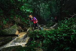 BIB: 
                            <button type="button" onclick="openModal(25141386)" class="btn btn-primary btn-sm float-right btn-popup" data-toggle="modal" data-target=".modal-high-quality">
                        <i class="fas fa-shopping-cart"></i> Add to Cart
                    </button>
                                            <button type="button" onclick="isThisMe(25141386, true)" class="btn btn-success btn-sm float-right btn-popup btn-isme hidden" data-toggle="tooltip" data-placement="bottom" title="นี่คือรูปของคุณใช่ไหม คลิกที่นี่เพื่อเอาเข้าอัลบั้ม">
                        <i class="fas fa-plus"></i> Add to album
                    </button>
                    <button type="button" onclick="isThisMe(25141386, false)" class="btn btn-warning btn-sm float-right btn-popup btn-isnotme hidden">
                        <i class="fas fa-ban"></i> Remove from album
                    </button>