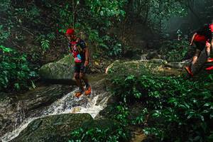 BIB: 
                            <button type="button" onclick="openModal(25144824)" class="btn btn-primary btn-sm float-right btn-popup" data-toggle="modal" data-target=".modal-high-quality">
                        <i class="fas fa-shopping-cart"></i> Add to Cart
                    </button>
                                            <button type="button" onclick="isThisMe(25144824, true)" class="btn btn-success btn-sm float-right btn-popup btn-isme hidden" data-toggle="tooltip" data-placement="bottom" title="นี่คือรูปของคุณใช่ไหม คลิกที่นี่เพื่อเอาเข้าอัลบั้ม">
                        <i class="fas fa-plus"></i> Add to album
                    </button>
                    <button type="button" onclick="isThisMe(25144824, false)" class="btn btn-warning btn-sm float-right btn-popup btn-isnotme hidden">
                        <i class="fas fa-ban"></i> Remove from album
                    </button>