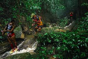 BIB: 
                            <button type="button" onclick="openModal(25144328)" class="btn btn-primary btn-sm float-right btn-popup" data-toggle="modal" data-target=".modal-high-quality">
                        <i class="fas fa-shopping-cart"></i> Add to Cart
                    </button>
                                            <button type="button" onclick="isThisMe(25144328, true)" class="btn btn-success btn-sm float-right btn-popup btn-isme hidden" data-toggle="tooltip" data-placement="bottom" title="นี่คือรูปของคุณใช่ไหม คลิกที่นี่เพื่อเอาเข้าอัลบั้ม">
                        <i class="fas fa-plus"></i> Add to album
                    </button>
                    <button type="button" onclick="isThisMe(25144328, false)" class="btn btn-warning btn-sm float-right btn-popup btn-isnotme hidden">
                        <i class="fas fa-ban"></i> Remove from album
                    </button>