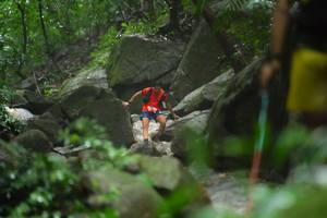 BIB: 
                            <button type="button" onclick="openModal(25211298)" class="btn btn-primary btn-sm float-right btn-popup" data-toggle="modal" data-target=".modal-high-quality">
                        <i class="fas fa-shopping-cart"></i> Add to Cart
                    </button>
                                            <button type="button" onclick="isThisMe(25211298, true)" class="btn btn-success btn-sm float-right btn-popup btn-isme hidden" data-toggle="tooltip" data-placement="bottom" title="นี่คือรูปของคุณใช่ไหม คลิกที่นี่เพื่อเอาเข้าอัลบั้ม">
                        <i class="fas fa-plus"></i> Add to album
                    </button>
                    <button type="button" onclick="isThisMe(25211298, false)" class="btn btn-warning btn-sm float-right btn-popup btn-isnotme hidden">
                        <i class="fas fa-ban"></i> Remove from album
                    </button>