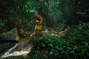 BIB: 
                            <button type="button" onclick="openModal(25144077)" class="btn btn-primary btn-sm float-right btn-popup" data-toggle="modal" data-target=".modal-high-quality">
                        <i class="fas fa-shopping-cart"></i> Add to Cart
                    </button>
                                            <button type="button" onclick="isThisMe(25144077, true)" class="btn btn-success btn-sm float-right btn-popup btn-isme hidden" data-toggle="tooltip" data-placement="bottom" title="นี่คือรูปของคุณใช่ไหม คลิกที่นี่เพื่อเอาเข้าอัลบั้ม">
                        <i class="fas fa-plus"></i> Add to album
                    </button>
                    <button type="button" onclick="isThisMe(25144077, false)" class="btn btn-warning btn-sm float-right btn-popup btn-isnotme hidden">
                        <i class="fas fa-ban"></i> Remove from album
                    </button>