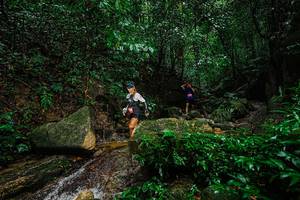 BIB: 
                            <button type="button" onclick="openModal(25138042)" class="btn btn-primary btn-sm float-right btn-popup" data-toggle="modal" data-target=".modal-high-quality">
                        <i class="fas fa-shopping-cart"></i> Add to Cart
                    </button>
                                            <button type="button" onclick="isThisMe(25138042, true)" class="btn btn-success btn-sm float-right btn-popup btn-isme hidden" data-toggle="tooltip" data-placement="bottom" title="นี่คือรูปของคุณใช่ไหม คลิกที่นี่เพื่อเอาเข้าอัลบั้ม">
                        <i class="fas fa-plus"></i> Add to album
                    </button>
                    <button type="button" onclick="isThisMe(25138042, false)" class="btn btn-warning btn-sm float-right btn-popup btn-isnotme hidden">
                        <i class="fas fa-ban"></i> Remove from album
                    </button>