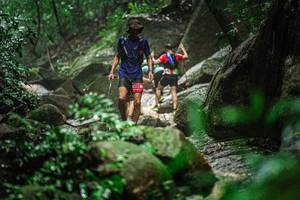 BIB: 
                            <button type="button" onclick="openModal(25158561)" class="btn btn-primary btn-sm float-right btn-popup" data-toggle="modal" data-target=".modal-high-quality">
                        <i class="fas fa-shopping-cart"></i> Add to Cart
                    </button>
                                            <button type="button" onclick="isThisMe(25158561, true)" class="btn btn-success btn-sm float-right btn-popup btn-isme hidden" data-toggle="tooltip" data-placement="bottom" title="นี่คือรูปของคุณใช่ไหม คลิกที่นี่เพื่อเอาเข้าอัลบั้ม">
                        <i class="fas fa-plus"></i> Add to album
                    </button>
                    <button type="button" onclick="isThisMe(25158561, false)" class="btn btn-warning btn-sm float-right btn-popup btn-isnotme hidden">
                        <i class="fas fa-ban"></i> Remove from album
                    </button>