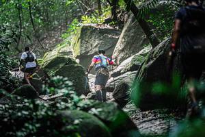 BIB: 
                            <button type="button" onclick="openModal(25156451)" class="btn btn-primary btn-sm float-right btn-popup" data-toggle="modal" data-target=".modal-high-quality">
                        <i class="fas fa-shopping-cart"></i> Add to Cart
                    </button>
                                            <button type="button" onclick="isThisMe(25156451, true)" class="btn btn-success btn-sm float-right btn-popup btn-isme hidden" data-toggle="tooltip" data-placement="bottom" title="นี่คือรูปของคุณใช่ไหม คลิกที่นี่เพื่อเอาเข้าอัลบั้ม">
                        <i class="fas fa-plus"></i> Add to album
                    </button>
                    <button type="button" onclick="isThisMe(25156451, false)" class="btn btn-warning btn-sm float-right btn-popup btn-isnotme hidden">
                        <i class="fas fa-ban"></i> Remove from album
                    </button>