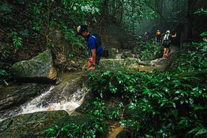 BIB: 
                            <button type="button" onclick="openModal(25144393)" class="btn btn-primary btn-sm float-right btn-popup" data-toggle="modal" data-target=".modal-high-quality">
                        <i class="fas fa-shopping-cart"></i> Add to Cart
                    </button>
                                            <button type="button" onclick="isThisMe(25144393, true)" class="btn btn-success btn-sm float-right btn-popup btn-isme hidden" data-toggle="tooltip" data-placement="bottom" title="นี่คือรูปของคุณใช่ไหม คลิกที่นี่เพื่อเอาเข้าอัลบั้ม">
                        <i class="fas fa-plus"></i> Add to album
                    </button>
                    <button type="button" onclick="isThisMe(25144393, false)" class="btn btn-warning btn-sm float-right btn-popup btn-isnotme hidden">
                        <i class="fas fa-ban"></i> Remove from album
                    </button>