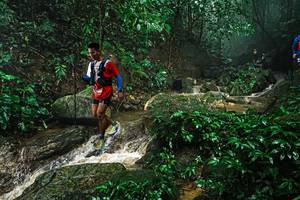 BIB: 
                            <button type="button" onclick="openModal(25144457)" class="btn btn-primary btn-sm float-right btn-popup" data-toggle="modal" data-target=".modal-high-quality">
                        <i class="fas fa-shopping-cart"></i> Add to Cart
                    </button>
                                            <button type="button" onclick="isThisMe(25144457, true)" class="btn btn-success btn-sm float-right btn-popup btn-isme hidden" data-toggle="tooltip" data-placement="bottom" title="นี่คือรูปของคุณใช่ไหม คลิกที่นี่เพื่อเอาเข้าอัลบั้ม">
                        <i class="fas fa-plus"></i> Add to album
                    </button>
                    <button type="button" onclick="isThisMe(25144457, false)" class="btn btn-warning btn-sm float-right btn-popup btn-isnotme hidden">
                        <i class="fas fa-ban"></i> Remove from album
                    </button>