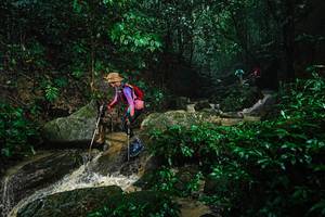 BIB: 
                            <button type="button" onclick="openModal(25141404)" class="btn btn-primary btn-sm float-right btn-popup" data-toggle="modal" data-target=".modal-high-quality">
                        <i class="fas fa-shopping-cart"></i> Add to Cart
                    </button>
                                            <button type="button" onclick="isThisMe(25141404, true)" class="btn btn-success btn-sm float-right btn-popup btn-isme hidden" data-toggle="tooltip" data-placement="bottom" title="นี่คือรูปของคุณใช่ไหม คลิกที่นี่เพื่อเอาเข้าอัลบั้ม">
                        <i class="fas fa-plus"></i> Add to album
                    </button>
                    <button type="button" onclick="isThisMe(25141404, false)" class="btn btn-warning btn-sm float-right btn-popup btn-isnotme hidden">
                        <i class="fas fa-ban"></i> Remove from album
                    </button>