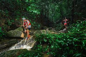 BIB: 
                            <button type="button" onclick="openModal(25140528)" class="btn btn-primary btn-sm float-right btn-popup" data-toggle="modal" data-target=".modal-high-quality">
                        <i class="fas fa-shopping-cart"></i> Add to Cart
                    </button>
                                            <button type="button" onclick="isThisMe(25140528, true)" class="btn btn-success btn-sm float-right btn-popup btn-isme hidden" data-toggle="tooltip" data-placement="bottom" title="นี่คือรูปของคุณใช่ไหม คลิกที่นี่เพื่อเอาเข้าอัลบั้ม">
                        <i class="fas fa-plus"></i> Add to album
                    </button>
                    <button type="button" onclick="isThisMe(25140528, false)" class="btn btn-warning btn-sm float-right btn-popup btn-isnotme hidden">
                        <i class="fas fa-ban"></i> Remove from album
                    </button>