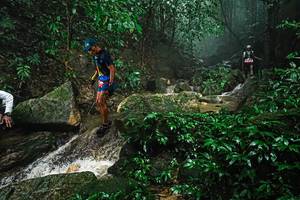 BIB: 
                            <button type="button" onclick="openModal(25144767)" class="btn btn-primary btn-sm float-right btn-popup" data-toggle="modal" data-target=".modal-high-quality">
                        <i class="fas fa-shopping-cart"></i> Add to Cart
                    </button>
                                            <button type="button" onclick="isThisMe(25144767, true)" class="btn btn-success btn-sm float-right btn-popup btn-isme hidden" data-toggle="tooltip" data-placement="bottom" title="นี่คือรูปของคุณใช่ไหม คลิกที่นี่เพื่อเอาเข้าอัลบั้ม">
                        <i class="fas fa-plus"></i> Add to album
                    </button>
                    <button type="button" onclick="isThisMe(25144767, false)" class="btn btn-warning btn-sm float-right btn-popup btn-isnotme hidden">
                        <i class="fas fa-ban"></i> Remove from album
                    </button>