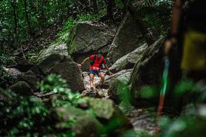 BIB: 
                            <button type="button" onclick="openModal(25157970)" class="btn btn-primary btn-sm float-right btn-popup" data-toggle="modal" data-target=".modal-high-quality">
                        <i class="fas fa-shopping-cart"></i> Add to Cart
                    </button>
                                            <button type="button" onclick="isThisMe(25157970, true)" class="btn btn-success btn-sm float-right btn-popup btn-isme hidden" data-toggle="tooltip" data-placement="bottom" title="นี่คือรูปของคุณใช่ไหม คลิกที่นี่เพื่อเอาเข้าอัลบั้ม">
                        <i class="fas fa-plus"></i> Add to album
                    </button>
                    <button type="button" onclick="isThisMe(25157970, false)" class="btn btn-warning btn-sm float-right btn-popup btn-isnotme hidden">
                        <i class="fas fa-ban"></i> Remove from album
                    </button>