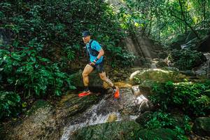 BIB: 
                            <button type="button" onclick="openModal(25136090)" class="btn btn-primary btn-sm float-right btn-popup" data-toggle="modal" data-target=".modal-high-quality">
                        <i class="fas fa-shopping-cart"></i> Add to Cart
                    </button>
                                            <button type="button" onclick="isThisMe(25136090, true)" class="btn btn-success btn-sm float-right btn-popup btn-isme hidden" data-toggle="tooltip" data-placement="bottom" title="นี่คือรูปของคุณใช่ไหม คลิกที่นี่เพื่อเอาเข้าอัลบั้ม">
                        <i class="fas fa-plus"></i> Add to album
                    </button>
                    <button type="button" onclick="isThisMe(25136090, false)" class="btn btn-warning btn-sm float-right btn-popup btn-isnotme hidden">
                        <i class="fas fa-ban"></i> Remove from album
                    </button>