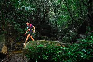 BIB: 
                            <button type="button" onclick="openModal(25136875)" class="btn btn-primary btn-sm float-right btn-popup" data-toggle="modal" data-target=".modal-high-quality">
                        <i class="fas fa-shopping-cart"></i> Add to Cart
                    </button>
                                            <button type="button" onclick="isThisMe(25136875, true)" class="btn btn-success btn-sm float-right btn-popup btn-isme hidden" data-toggle="tooltip" data-placement="bottom" title="นี่คือรูปของคุณใช่ไหม คลิกที่นี่เพื่อเอาเข้าอัลบั้ม">
                        <i class="fas fa-plus"></i> Add to album
                    </button>
                    <button type="button" onclick="isThisMe(25136875, false)" class="btn btn-warning btn-sm float-right btn-popup btn-isnotme hidden">
                        <i class="fas fa-ban"></i> Remove from album
                    </button>