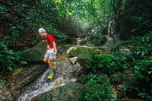 BIB: 
                            <button type="button" onclick="openModal(25135897)" class="btn btn-primary btn-sm float-right btn-popup" data-toggle="modal" data-target=".modal-high-quality">
                        <i class="fas fa-shopping-cart"></i> Add to Cart
                    </button>
                                            <button type="button" onclick="isThisMe(25135897, true)" class="btn btn-success btn-sm float-right btn-popup btn-isme hidden" data-toggle="tooltip" data-placement="bottom" title="นี่คือรูปของคุณใช่ไหม คลิกที่นี่เพื่อเอาเข้าอัลบั้ม">
                        <i class="fas fa-plus"></i> Add to album
                    </button>
                    <button type="button" onclick="isThisMe(25135897, false)" class="btn btn-warning btn-sm float-right btn-popup btn-isnotme hidden">
                        <i class="fas fa-ban"></i> Remove from album
                    </button>