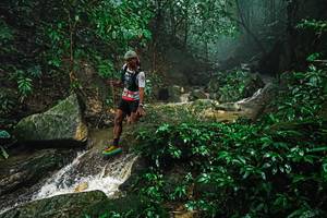 BIB: 
                            <button type="button" onclick="openModal(25144787)" class="btn btn-primary btn-sm float-right btn-popup" data-toggle="modal" data-target=".modal-high-quality">
                        <i class="fas fa-shopping-cart"></i> Add to Cart
                    </button>
                                            <button type="button" onclick="isThisMe(25144787, true)" class="btn btn-success btn-sm float-right btn-popup btn-isme hidden" data-toggle="tooltip" data-placement="bottom" title="นี่คือรูปของคุณใช่ไหม คลิกที่นี่เพื่อเอาเข้าอัลบั้ม">
                        <i class="fas fa-plus"></i> Add to album
                    </button>
                    <button type="button" onclick="isThisMe(25144787, false)" class="btn btn-warning btn-sm float-right btn-popup btn-isnotme hidden">
                        <i class="fas fa-ban"></i> Remove from album
                    </button>