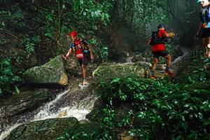 BIB: 
                            <button type="button" onclick="openModal(25144818)" class="btn btn-primary btn-sm float-right btn-popup" data-toggle="modal" data-target=".modal-high-quality">
                        <i class="fas fa-shopping-cart"></i> Add to Cart
                    </button>
                                            <button type="button" onclick="isThisMe(25144818, true)" class="btn btn-success btn-sm float-right btn-popup btn-isme hidden" data-toggle="tooltip" data-placement="bottom" title="นี่คือรูปของคุณใช่ไหม คลิกที่นี่เพื่อเอาเข้าอัลบั้ม">
                        <i class="fas fa-plus"></i> Add to album
                    </button>
                    <button type="button" onclick="isThisMe(25144818, false)" class="btn btn-warning btn-sm float-right btn-popup btn-isnotme hidden">
                        <i class="fas fa-ban"></i> Remove from album
                    </button>