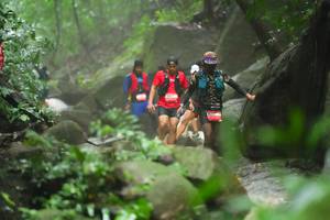 BIB: 
                            <button type="button" onclick="openModal(25211393)" class="btn btn-primary btn-sm float-right btn-popup" data-toggle="modal" data-target=".modal-high-quality">
                        <i class="fas fa-shopping-cart"></i> Add to Cart
                    </button>
                                            <button type="button" onclick="isThisMe(25211393, true)" class="btn btn-success btn-sm float-right btn-popup btn-isme hidden" data-toggle="tooltip" data-placement="bottom" title="นี่คือรูปของคุณใช่ไหม คลิกที่นี่เพื่อเอาเข้าอัลบั้ม">
                        <i class="fas fa-plus"></i> Add to album
                    </button>
                    <button type="button" onclick="isThisMe(25211393, false)" class="btn btn-warning btn-sm float-right btn-popup btn-isnotme hidden">
                        <i class="fas fa-ban"></i> Remove from album
                    </button>