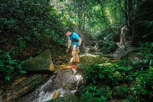 BIB: 
                            <button type="button" onclick="openModal(25136072)" class="btn btn-primary btn-sm float-right btn-popup" data-toggle="modal" data-target=".modal-high-quality">
                        <i class="fas fa-shopping-cart"></i> Add to Cart
                    </button>
                                            <button type="button" onclick="isThisMe(25136072, true)" class="btn btn-success btn-sm float-right btn-popup btn-isme hidden" data-toggle="tooltip" data-placement="bottom" title="นี่คือรูปของคุณใช่ไหม คลิกที่นี่เพื่อเอาเข้าอัลบั้ม">
                        <i class="fas fa-plus"></i> Add to album
                    </button>
                    <button type="button" onclick="isThisMe(25136072, false)" class="btn btn-warning btn-sm float-right btn-popup btn-isnotme hidden">
                        <i class="fas fa-ban"></i> Remove from album
                    </button>