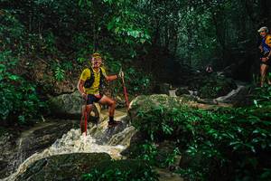 BIB: 
                            <button type="button" onclick="openModal(25141438)" class="btn btn-primary btn-sm float-right btn-popup" data-toggle="modal" data-target=".modal-high-quality">
                        <i class="fas fa-shopping-cart"></i> Add to Cart
                    </button>
                                            <button type="button" onclick="isThisMe(25141438, true)" class="btn btn-success btn-sm float-right btn-popup btn-isme hidden" data-toggle="tooltip" data-placement="bottom" title="นี่คือรูปของคุณใช่ไหม คลิกที่นี่เพื่อเอาเข้าอัลบั้ม">
                        <i class="fas fa-plus"></i> Add to album
                    </button>
                    <button type="button" onclick="isThisMe(25141438, false)" class="btn btn-warning btn-sm float-right btn-popup btn-isnotme hidden">
                        <i class="fas fa-ban"></i> Remove from album
                    </button>