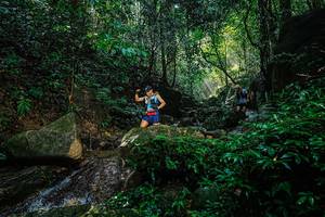 BIB: 
                            <button type="button" onclick="openModal(25137400)" class="btn btn-primary btn-sm float-right btn-popup" data-toggle="modal" data-target=".modal-high-quality">
                        <i class="fas fa-shopping-cart"></i> Add to Cart
                    </button>
                                            <button type="button" onclick="isThisMe(25137400, true)" class="btn btn-success btn-sm float-right btn-popup btn-isme hidden" data-toggle="tooltip" data-placement="bottom" title="นี่คือรูปของคุณใช่ไหม คลิกที่นี่เพื่อเอาเข้าอัลบั้ม">
                        <i class="fas fa-plus"></i> Add to album
                    </button>
                    <button type="button" onclick="isThisMe(25137400, false)" class="btn btn-warning btn-sm float-right btn-popup btn-isnotme hidden">
                        <i class="fas fa-ban"></i> Remove from album
                    </button>