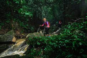 BIB: 
                            <button type="button" onclick="openModal(25141331)" class="btn btn-primary btn-sm float-right btn-popup" data-toggle="modal" data-target=".modal-high-quality">
                        <i class="fas fa-shopping-cart"></i> Add to Cart
                    </button>
                                            <button type="button" onclick="isThisMe(25141331, true)" class="btn btn-success btn-sm float-right btn-popup btn-isme hidden" data-toggle="tooltip" data-placement="bottom" title="นี่คือรูปของคุณใช่ไหม คลิกที่นี่เพื่อเอาเข้าอัลบั้ม">
                        <i class="fas fa-plus"></i> Add to album
                    </button>
                    <button type="button" onclick="isThisMe(25141331, false)" class="btn btn-warning btn-sm float-right btn-popup btn-isnotme hidden">
                        <i class="fas fa-ban"></i> Remove from album
                    </button>