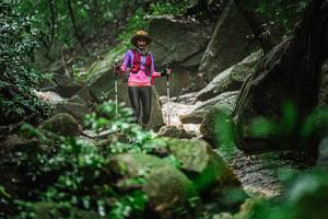 BIB: 
                            <button type="button" onclick="openModal(25158614)" class="btn btn-primary btn-sm float-right btn-popup" data-toggle="modal" data-target=".modal-high-quality">
                        <i class="fas fa-shopping-cart"></i> Add to Cart
                    </button>
                                            <button type="button" onclick="isThisMe(25158614, true)" class="btn btn-success btn-sm float-right btn-popup btn-isme hidden" data-toggle="tooltip" data-placement="bottom" title="นี่คือรูปของคุณใช่ไหม คลิกที่นี่เพื่อเอาเข้าอัลบั้ม">
                        <i class="fas fa-plus"></i> Add to album
                    </button>
                    <button type="button" onclick="isThisMe(25158614, false)" class="btn btn-warning btn-sm float-right btn-popup btn-isnotme hidden">
                        <i class="fas fa-ban"></i> Remove from album
                    </button>