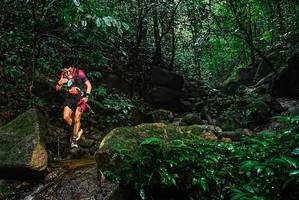 BIB: 
                            <button type="button" onclick="openModal(25136899)" class="btn btn-primary btn-sm float-right btn-popup" data-toggle="modal" data-target=".modal-high-quality">
                        <i class="fas fa-shopping-cart"></i> Add to Cart
                    </button>
                                            <button type="button" onclick="isThisMe(25136899, true)" class="btn btn-success btn-sm float-right btn-popup btn-isme hidden" data-toggle="tooltip" data-placement="bottom" title="นี่คือรูปของคุณใช่ไหม คลิกที่นี่เพื่อเอาเข้าอัลบั้ม">
                        <i class="fas fa-plus"></i> Add to album
                    </button>
                    <button type="button" onclick="isThisMe(25136899, false)" class="btn btn-warning btn-sm float-right btn-popup btn-isnotme hidden">
                        <i class="fas fa-ban"></i> Remove from album
                    </button>