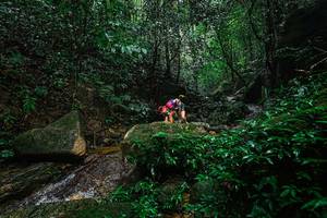 BIB: 
                            <button type="button" onclick="openModal(25136844)" class="btn btn-primary btn-sm float-right btn-popup" data-toggle="modal" data-target=".modal-high-quality">
                        <i class="fas fa-shopping-cart"></i> Add to Cart
                    </button>
                                            <button type="button" onclick="isThisMe(25136844, true)" class="btn btn-success btn-sm float-right btn-popup btn-isme hidden" data-toggle="tooltip" data-placement="bottom" title="นี่คือรูปของคุณใช่ไหม คลิกที่นี่เพื่อเอาเข้าอัลบั้ม">
                        <i class="fas fa-plus"></i> Add to album
                    </button>
                    <button type="button" onclick="isThisMe(25136844, false)" class="btn btn-warning btn-sm float-right btn-popup btn-isnotme hidden">
                        <i class="fas fa-ban"></i> Remove from album
                    </button>