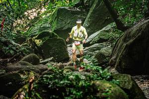 BIB: 
                            <button type="button" onclick="openModal(25155462)" class="btn btn-primary btn-sm float-right btn-popup" data-toggle="modal" data-target=".modal-high-quality">
                        <i class="fas fa-shopping-cart"></i> Add to Cart
                    </button>
                                            <button type="button" onclick="isThisMe(25155462, true)" class="btn btn-success btn-sm float-right btn-popup btn-isme hidden" data-toggle="tooltip" data-placement="bottom" title="นี่คือรูปของคุณใช่ไหม คลิกที่นี่เพื่อเอาเข้าอัลบั้ม">
                        <i class="fas fa-plus"></i> Add to album
                    </button>
                    <button type="button" onclick="isThisMe(25155462, false)" class="btn btn-warning btn-sm float-right btn-popup btn-isnotme hidden">
                        <i class="fas fa-ban"></i> Remove from album
                    </button>