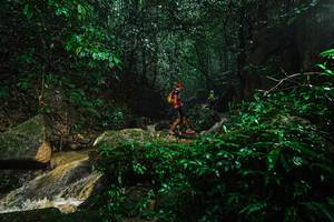 BIB: 
                            <button type="button" onclick="openModal(25141280)" class="btn btn-primary btn-sm float-right btn-popup" data-toggle="modal" data-target=".modal-high-quality">
                        <i class="fas fa-shopping-cart"></i> Add to Cart
                    </button>
                                            <button type="button" onclick="isThisMe(25141280, true)" class="btn btn-success btn-sm float-right btn-popup btn-isme hidden" data-toggle="tooltip" data-placement="bottom" title="นี่คือรูปของคุณใช่ไหม คลิกที่นี่เพื่อเอาเข้าอัลบั้ม">
                        <i class="fas fa-plus"></i> Add to album
                    </button>
                    <button type="button" onclick="isThisMe(25141280, false)" class="btn btn-warning btn-sm float-right btn-popup btn-isnotme hidden">
                        <i class="fas fa-ban"></i> Remove from album
                    </button>