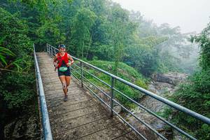 BIB: 
                            <button type="button" onclick="openModal(25161548)" class="btn btn-primary btn-sm float-right btn-popup" data-toggle="modal" data-target=".modal-high-quality">
                        <i class="fas fa-shopping-cart"></i> Add to Cart
                    </button>
                                            <button type="button" onclick="isThisMe(25161548, true)" class="btn btn-success btn-sm float-right btn-popup btn-isme hidden" data-toggle="tooltip" data-placement="bottom" title="นี่คือรูปของคุณใช่ไหม คลิกที่นี่เพื่อเอาเข้าอัลบั้ม">
                        <i class="fas fa-plus"></i> Add to album
                    </button>
                    <button type="button" onclick="isThisMe(25161548, false)" class="btn btn-warning btn-sm float-right btn-popup btn-isnotme hidden">
                        <i class="fas fa-ban"></i> Remove from album
                    </button>