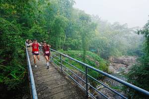 BIB: 
                            <button type="button" onclick="openModal(25165280)" class="btn btn-primary btn-sm float-right btn-popup" data-toggle="modal" data-target=".modal-high-quality">
                        <i class="fas fa-shopping-cart"></i> Add to Cart
                    </button>
                                            <button type="button" onclick="isThisMe(25165280, true)" class="btn btn-success btn-sm float-right btn-popup btn-isme hidden" data-toggle="tooltip" data-placement="bottom" title="นี่คือรูปของคุณใช่ไหม คลิกที่นี่เพื่อเอาเข้าอัลบั้ม">
                        <i class="fas fa-plus"></i> Add to album
                    </button>
                    <button type="button" onclick="isThisMe(25165280, false)" class="btn btn-warning btn-sm float-right btn-popup btn-isnotme hidden">
                        <i class="fas fa-ban"></i> Remove from album
                    </button>