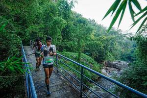 BIB: 
                            <button type="button" onclick="openModal(25160531)" class="btn btn-primary btn-sm float-right btn-popup" data-toggle="modal" data-target=".modal-high-quality">
                        <i class="fas fa-shopping-cart"></i> Add to Cart
                    </button>
                                            <button type="button" onclick="isThisMe(25160531, true)" class="btn btn-success btn-sm float-right btn-popup btn-isme hidden" data-toggle="tooltip" data-placement="bottom" title="นี่คือรูปของคุณใช่ไหม คลิกที่นี่เพื่อเอาเข้าอัลบั้ม">
                        <i class="fas fa-plus"></i> Add to album
                    </button>
                    <button type="button" onclick="isThisMe(25160531, false)" class="btn btn-warning btn-sm float-right btn-popup btn-isnotme hidden">
                        <i class="fas fa-ban"></i> Remove from album
                    </button>