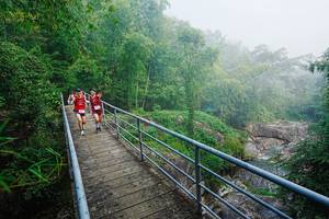 BIB: 
                            <button type="button" onclick="openModal(25165285)" class="btn btn-primary btn-sm float-right btn-popup" data-toggle="modal" data-target=".modal-high-quality">
                        <i class="fas fa-shopping-cart"></i> Add to Cart
                    </button>
                                            <button type="button" onclick="isThisMe(25165285, true)" class="btn btn-success btn-sm float-right btn-popup btn-isme hidden" data-toggle="tooltip" data-placement="bottom" title="นี่คือรูปของคุณใช่ไหม คลิกที่นี่เพื่อเอาเข้าอัลบั้ม">
                        <i class="fas fa-plus"></i> Add to album
                    </button>
                    <button type="button" onclick="isThisMe(25165285, false)" class="btn btn-warning btn-sm float-right btn-popup btn-isnotme hidden">
                        <i class="fas fa-ban"></i> Remove from album
                    </button>