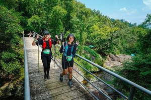 BIB: 
                            <button type="button" onclick="openModal(25183991)" class="btn btn-primary btn-sm float-right btn-popup" data-toggle="modal" data-target=".modal-high-quality">
                        <i class="fas fa-shopping-cart"></i> Add to Cart
                    </button>
                                            <button type="button" onclick="isThisMe(25183991, true)" class="btn btn-success btn-sm float-right btn-popup btn-isme hidden" data-toggle="tooltip" data-placement="bottom" title="นี่คือรูปของคุณใช่ไหม คลิกที่นี่เพื่อเอาเข้าอัลบั้ม">
                        <i class="fas fa-plus"></i> Add to album
                    </button>
                    <button type="button" onclick="isThisMe(25183991, false)" class="btn btn-warning btn-sm float-right btn-popup btn-isnotme hidden">
                        <i class="fas fa-ban"></i> Remove from album
                    </button>