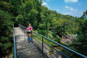 BIB: 
                            <button type="button" onclick="openModal(25184257)" class="btn btn-primary btn-sm float-right btn-popup" data-toggle="modal" data-target=".modal-high-quality">
                        <i class="fas fa-shopping-cart"></i> Add to Cart
                    </button>
                                            <button type="button" onclick="isThisMe(25184257, true)" class="btn btn-success btn-sm float-right btn-popup btn-isme hidden" data-toggle="tooltip" data-placement="bottom" title="นี่คือรูปของคุณใช่ไหม คลิกที่นี่เพื่อเอาเข้าอัลบั้ม">
                        <i class="fas fa-plus"></i> Add to album
                    </button>
                    <button type="button" onclick="isThisMe(25184257, false)" class="btn btn-warning btn-sm float-right btn-popup btn-isnotme hidden">
                        <i class="fas fa-ban"></i> Remove from album
                    </button>