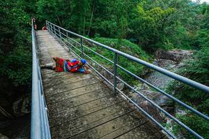 BIB: 
                            <button type="button" onclick="openModal(25181290)" class="btn btn-primary btn-sm float-right btn-popup" data-toggle="modal" data-target=".modal-high-quality">
                        <i class="fas fa-shopping-cart"></i> Add to Cart
                    </button>
                                            <button type="button" onclick="isThisMe(25181290, true)" class="btn btn-success btn-sm float-right btn-popup btn-isme hidden" data-toggle="tooltip" data-placement="bottom" title="นี่คือรูปของคุณใช่ไหม คลิกที่นี่เพื่อเอาเข้าอัลบั้ม">
                        <i class="fas fa-plus"></i> Add to album
                    </button>
                    <button type="button" onclick="isThisMe(25181290, false)" class="btn btn-warning btn-sm float-right btn-popup btn-isnotme hidden">
                        <i class="fas fa-ban"></i> Remove from album
                    </button>