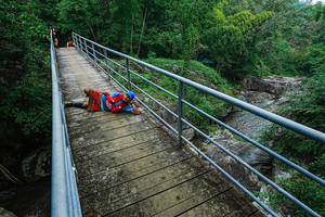 BIB: 
                            <button type="button" onclick="openModal(25181281)" class="btn btn-primary btn-sm float-right btn-popup" data-toggle="modal" data-target=".modal-high-quality">
                        <i class="fas fa-shopping-cart"></i> Add to Cart
                    </button>
                                            <button type="button" onclick="isThisMe(25181281, true)" class="btn btn-success btn-sm float-right btn-popup btn-isme hidden" data-toggle="tooltip" data-placement="bottom" title="นี่คือรูปของคุณใช่ไหม คลิกที่นี่เพื่อเอาเข้าอัลบั้ม">
                        <i class="fas fa-plus"></i> Add to album
                    </button>
                    <button type="button" onclick="isThisMe(25181281, false)" class="btn btn-warning btn-sm float-right btn-popup btn-isnotme hidden">
                        <i class="fas fa-ban"></i> Remove from album
                    </button>