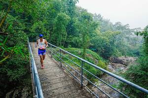 BIB: 
                            <button type="button" onclick="openModal(25161384)" class="btn btn-primary btn-sm float-right btn-popup" data-toggle="modal" data-target=".modal-high-quality">
                        <i class="fas fa-shopping-cart"></i> Add to Cart
                    </button>
                                            <button type="button" onclick="isThisMe(25161384, true)" class="btn btn-success btn-sm float-right btn-popup btn-isme hidden" data-toggle="tooltip" data-placement="bottom" title="นี่คือรูปของคุณใช่ไหม คลิกที่นี่เพื่อเอาเข้าอัลบั้ม">
                        <i class="fas fa-plus"></i> Add to album
                    </button>
                    <button type="button" onclick="isThisMe(25161384, false)" class="btn btn-warning btn-sm float-right btn-popup btn-isnotme hidden">
                        <i class="fas fa-ban"></i> Remove from album
                    </button>