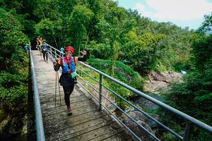 BIB: 
                            <button type="button" onclick="openModal(25183692)" class="btn btn-primary btn-sm float-right btn-popup" data-toggle="modal" data-target=".modal-high-quality">
                        <i class="fas fa-shopping-cart"></i> Add to Cart
                    </button>
                                            <button type="button" onclick="isThisMe(25183692, true)" class="btn btn-success btn-sm float-right btn-popup btn-isme hidden" data-toggle="tooltip" data-placement="bottom" title="นี่คือรูปของคุณใช่ไหม คลิกที่นี่เพื่อเอาเข้าอัลบั้ม">
                        <i class="fas fa-plus"></i> Add to album
                    </button>
                    <button type="button" onclick="isThisMe(25183692, false)" class="btn btn-warning btn-sm float-right btn-popup btn-isnotme hidden">
                        <i class="fas fa-ban"></i> Remove from album
                    </button>