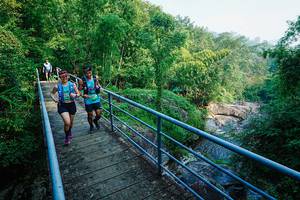 BIB: 
                            <button type="button" onclick="openModal(25169433)" class="btn btn-primary btn-sm float-right btn-popup" data-toggle="modal" data-target=".modal-high-quality">
                        <i class="fas fa-shopping-cart"></i> Add to Cart
                    </button>
                                            <button type="button" onclick="isThisMe(25169433, true)" class="btn btn-success btn-sm float-right btn-popup btn-isme hidden" data-toggle="tooltip" data-placement="bottom" title="นี่คือรูปของคุณใช่ไหม คลิกที่นี่เพื่อเอาเข้าอัลบั้ม">
                        <i class="fas fa-plus"></i> Add to album
                    </button>
                    <button type="button" onclick="isThisMe(25169433, false)" class="btn btn-warning btn-sm float-right btn-popup btn-isnotme hidden">
                        <i class="fas fa-ban"></i> Remove from album
                    </button>