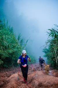 BIB: 
                            <button type="button" onclick="openModal(25052006)" class="btn btn-primary btn-sm float-right btn-popup" data-toggle="modal" data-target=".modal-high-quality">
                        <i class="fas fa-shopping-cart"></i> Add to Cart
                    </button>
                                            <button type="button" onclick="isThisMe(25052006, true)" class="btn btn-success btn-sm float-right btn-popup btn-isme hidden" data-toggle="tooltip" data-placement="bottom" title="นี่คือรูปของคุณใช่ไหม คลิกที่นี่เพื่อเอาเข้าอัลบั้ม">
                        <i class="fas fa-plus"></i> Add to album
                    </button>
                    <button type="button" onclick="isThisMe(25052006, false)" class="btn btn-warning btn-sm float-right btn-popup btn-isnotme hidden">
                        <i class="fas fa-ban"></i> Remove from album
                    </button>