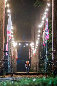 BIB: 
                            <button type="button" onclick="openModal(25054037)" class="btn btn-primary btn-sm float-right btn-popup" data-toggle="modal" data-target=".modal-high-quality">
                        <i class="fas fa-shopping-cart"></i> Add to Cart
                    </button>
                                            <button type="button" onclick="isThisMe(25054037, true)" class="btn btn-success btn-sm float-right btn-popup btn-isme hidden" data-toggle="tooltip" data-placement="bottom" title="นี่คือรูปของคุณใช่ไหม คลิกที่นี่เพื่อเอาเข้าอัลบั้ม">
                        <i class="fas fa-plus"></i> Add to album
                    </button>
                    <button type="button" onclick="isThisMe(25054037, false)" class="btn btn-warning btn-sm float-right btn-popup btn-isnotme hidden">
                        <i class="fas fa-ban"></i> Remove from album
                    </button>